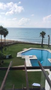 a swimming pool next to the ocean with palm trees at Beach Side Apartments Calahonda in Sitio de Calahonda
