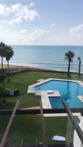 basen nad oceanem z palmami w obiekcie Beach Side Apartments Calahonda w mieście Sitio de Calahonda