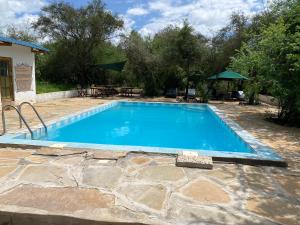 a large blue swimming pool with a table and chairs at Maasai Simba Camp in Amboseli