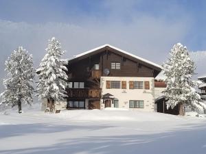 a large house in the snow with snow covered trees at Schönegg Hochparterre in Riederalp
