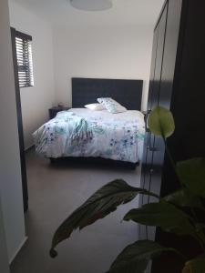 Gallery image of The Pool Cottage in Fish hoek