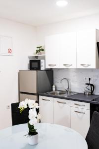 Kuchnia lub aneks kuchenny w obiekcie Apartmani Park Maksimir-Rebro
