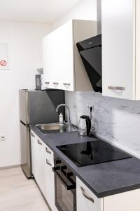 Kuchnia lub aneks kuchenny w obiekcie Apartmani Park Maksimir-Rebro