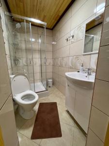 a bathroom with a toilet and a shower and a sink at Happy House in Slavske