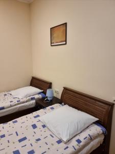 Voodi või voodid majutusasutuse Shorena & Nino toas