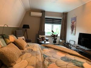 a bedroom with a large bed and a television at B&B Pullemans in Wijster