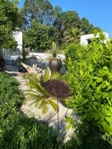 a bird standing in a garden with plants at Jm Vacances Serignan Studio in Sérignan +4 photos