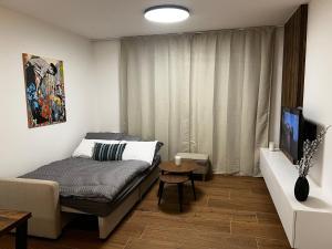 Habitación pequeña con cama y TV. en Apartmán U Satoshiho en Olomouc
