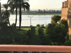 Galeriebild der Unterkunft East Luxor Apartments with Nile views in Jazīrat al ‘Awwāmīyah