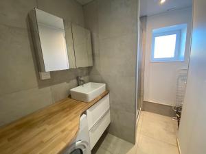 a bathroom with a sink and a mirror at Un cocon en plein coeur du Jura - Chatillon in Châtillon