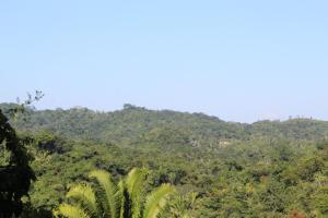 Blick auf einen bewaldeten Berg mit Bäumen in der Unterkunft Calico Jack's Resort in Sayab Camp