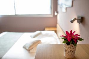 Voodi või voodid majutusasutuse Hôtel Les Flots Bleus toas