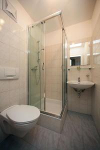 a bathroom with a shower and a toilet and a sink at Hügellandhof in Premstätten bei Vasoldsberg