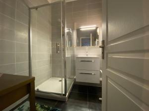カルカソンヌにあるL'Appartement Jebari - Esprit loft Carcassonne proche cité médiéval et aéroportのガラスドア付きのシャワー付きのバスルーム