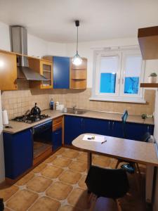 Kuchyňa alebo kuchynka v ubytovaní Apartament Artemida