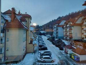 Apartament Artemida v zime
