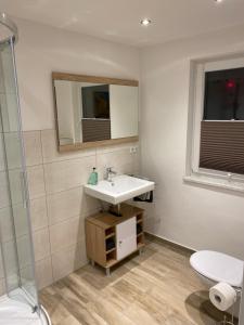 a bathroom with a sink and a toilet and a mirror at Range Erholungs FEWO in Cottbus