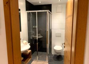 Un baño con ducha, inodoro y lavabo. en Apart La Vita, en Kappl