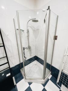 a shower with a glass door in a bathroom at Kyiv Gallery Apartment in Kyiv