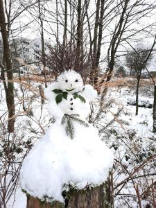 a snowman is sitting on top of a pole at Grossdorf Ferienwohnung Waldsuite im Harz in Hahnenklee-Bockswiese