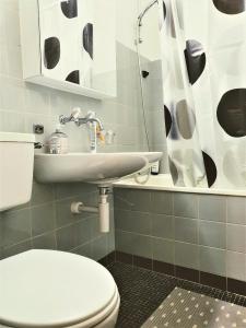 a bathroom with a toilet and a sink at Private Bed in a Shared Spacious Apartment in St. Gallen