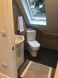 a bathroom with a toilet and a sink and a window at The Firs - Englefied studio in Douglas