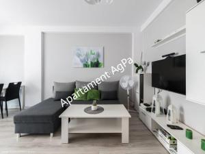 A television and/or entertainment center at Apartamenty AgPa