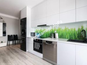 A kitchen or kitchenette at Apartamenty AgPa