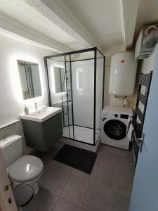 y baño con lavamanos y lavadora. en Cosy T2 en Montbrison