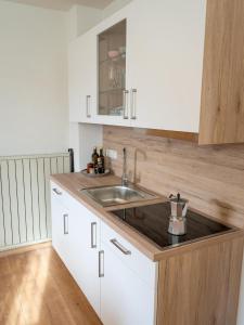 毛拉赫的住宿－Dorfapartment Achensee，厨房配有水槽和白色橱柜