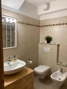 a bathroom with a sink and a toilet and a mirror at Casa Lina S. Pietro in San Pietro