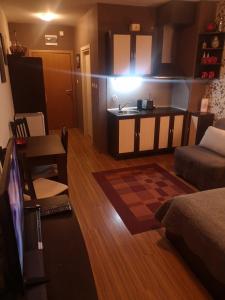 a living room with a kitchen and a living room with a tv at Snowflake Studio in Borovets