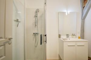 un baño con ducha y lavabo en Amboise A Castle Life, en Tours