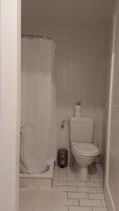 a white bathroom with a toilet and a shower at Gare-20-1 in Lausanne