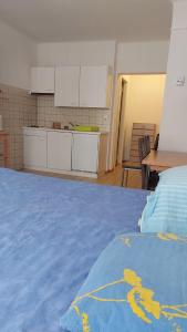 a room with a kitchen and a bed with a blue blanket at Gare-20-1 in Lausanne