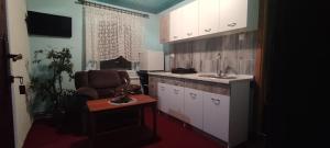 Kuchyň nebo kuchyňský kout v ubytování Guesthouse Prenociste Faraon