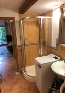 a bathroom with a shower and a sink at Top Apartment 3 in Rosengarten/Hamburg in Rosengarten