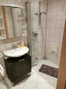 een badkamer met een wastafel en een douche bij Susis Ferienwohnung in Lahnau