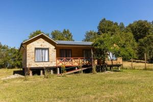 a small wooden house in a field with trees at Cabañas Aliwen Panguipulli in Panguipulli