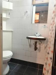 a bathroom with a toilet and a sink at Las Adelas Chaltén in El Chalten