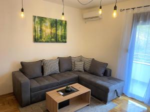 Posezení v ubytování MonteRelax Apartments Becici