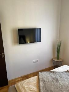TV a/nebo společenská místnost v ubytování MonteRelax Apartments Becici