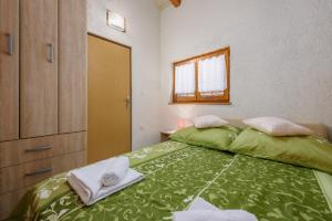 Postel nebo postele na pokoji v ubytování Apartment with pool Visnjan