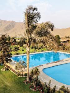 a palm tree next to a large swimming pool at Mi Pequeño Club (Country Club) in Lima