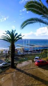 a palm tree in a parking lot next to the ocean at Departamento Vista al mar 958 in Valparaíso
