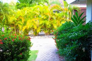 Fotografie z fotogalerie ubytování A home away from home v destinaci Richmond