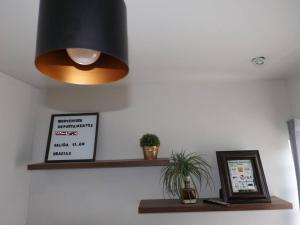 a ceiling light and a shelf with a potted plant at Zona nuevo CAMPUS Universidad departamento independiente in Chihuahua