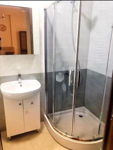 a bathroom with a shower and a sink at vake in Tbilisi City