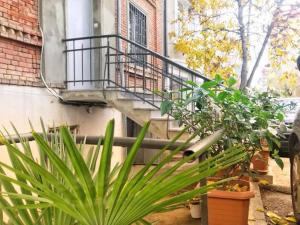 a balcony on a building with a plant in a yard at vake in Tbilisi City