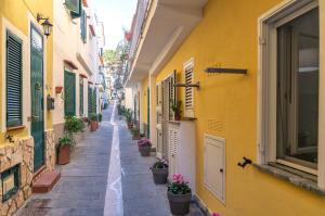 an alley in an old town with potted plants at Lily's Home in Ischia